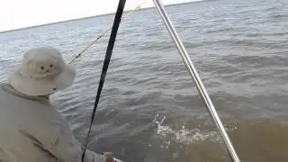 bluecat fishing with rod and reel