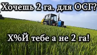 2 га. каждому Украинцу кроме Селюка. Вы Отпрыски и нелюди и гнать Вас паршивой метлой!