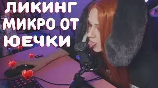 Юечка Лижет микро/Ликинг Микро на стриме от Юечки