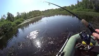 День рыбака и щнурка