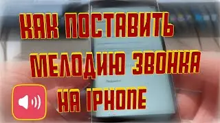 Как на айфоне ПОСТАВИТЬ МЕЛОДИЮ на звонок