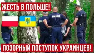 Куда смотрят родители? Позорный поступок украинских детей в Польше!