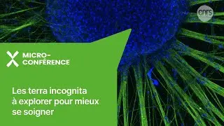 Les terra incognita à explorer pour mieux se soigner | Micro-conférence | Les échappées inattendues