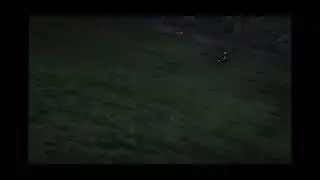 tanjiro decapitates hantengu (upper 4) using lightning breathing (season3 ep11)
