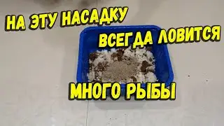 На эту насадку всегда ловится много рыбы