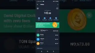 Verify Telegram Wallet With ID Card.