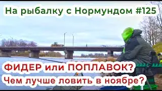 ФИДЕР или ПОПЛАВОК - чем лучше ловить в ноябре? / На рыбалку с Нормундом #125