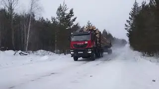 Тотальная вырубка лесов