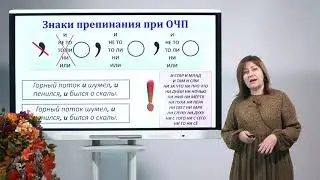11 класс. Русский язык.  Однородные члены предложения