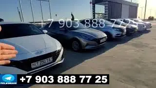 Баходир Брат РОЗЫГРЫШ! ЯНГИ УЙИН СТАРТ