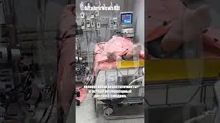 Паша Техник умер в Таиланде