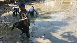 NYESEL KALO GAK NONTON!! PANEN IKAN LELE GEDE-GEDE!!??
