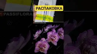 Распаковка заказа с Passiflora.ru. Сколько ждала?  