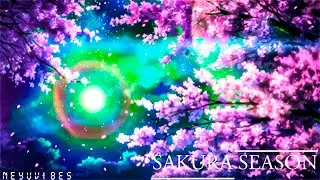 SAKURA SEASON - Neyuvibes