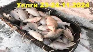 Рыбалка на озере Уелги 23.11.2024, отличное начало зимнего сезона!