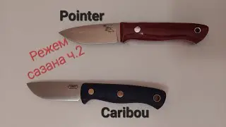 Режем сазана, часть 2. Caribou  Южный Крест   с N690 vs Pointer Beaver Knife с Х12МФ.