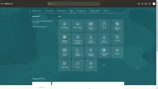 Data Import (Import Management) in Oracle Fusion Application Composer