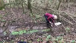 Spains Hall Beavers monitoring - biodiversity