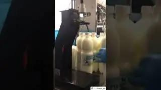 Полуавтомат розлива молока и кумыса Fillermatic Gravity