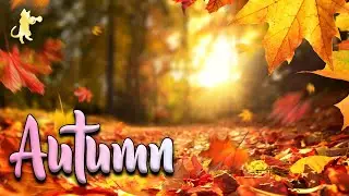 COZY Autumn Scenery! 🍁🍂 Autumn / Fall 2023 Nature Scenery & Relaxing Music