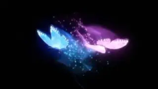 Butterfly Effect | Black Screen Overlay Effect | Love Overlay Effect | Romantic Effect 2021