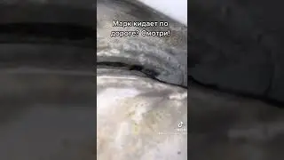 Марк 2 кидает по дороге. 