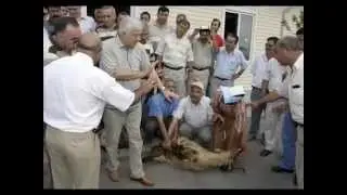 Kurbana ortak olan herkesin kurbanının başında olması şart mı ? Timurtaş Uçar Hoca