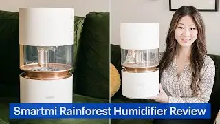 Smartmi Rainforest Humidifier Review