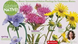 Grow Native! Webinar: In Bloom: Successional Native Plantings for Continuous Blooms with Cydney Ross