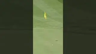 THIS approach shot from John Daly! 🙌