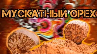 Мускатный Орех или Как ЛЕГАЛЬНО Упороться. Легальные психоделики.