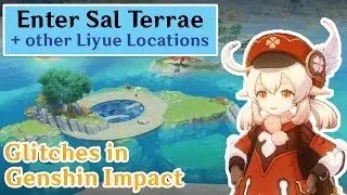 Glitches in Genshin Impact: Sal Terrae and Liyue