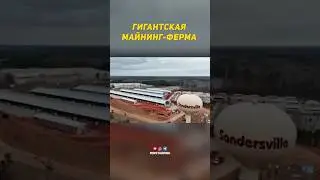 Масштабы просто поражают😱 #майнинг #криптовалюта #биткоин