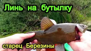 КАК СЛОВИТЬ ЛИНЯ. ЛИНЬ НА БУТЫЛКИ. рыбалка на линя в беларуси.