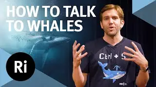 How to speak whale – with Tom Mustill and Michael Bronstein