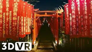 JAPAN VR180 VIDEO | AKASAKA WALK