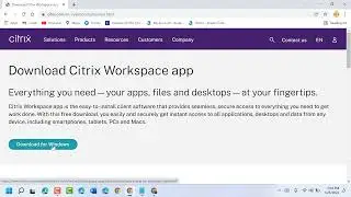 Fix Error Selfservice Exception, a Breakpoint Has Been Reached Citrix Workspace