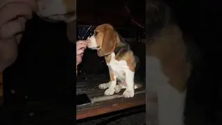 Он плачет, что лето заканчивается 🙈