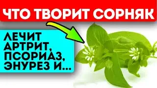 Больше никогда не выбрасывай это! Когда узнаешь, что мокрица сделает с твоим телом, будешь...