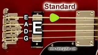 Bass Guitar Tuner - E Standard Tuning (E A D G) 4 Strings