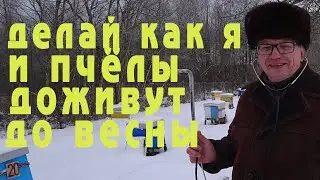 Сделай это в конце января и пчёлы доживут до весны.