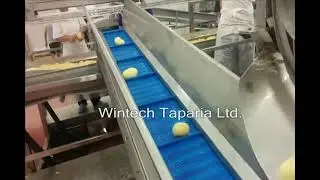 Линия по производству картофеля фри (полуфабриката) 500 кг/ч