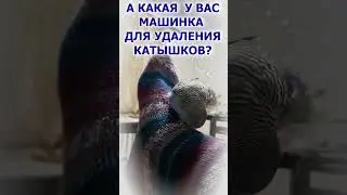 🧶🧶🧶А какая у вас машинка для удаления катышков? #shorts