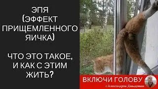 ЭПЯ (Эффект Прищемленного Яичка). Что это такое, и как с этим жить?