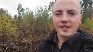 Ключевое изменение личности после установки идеальных образцов опыта!