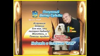 Ветер Судьбы: ИАМ - Исцеление Любовью Творца. Энергии для тех, кто потерял Надежду. Помощь придет!