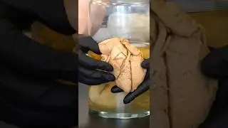When the Human Heart Develops!