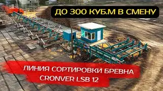 Линия сортировки бревна Cronver LSB 12