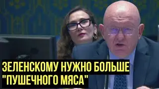 Зеленский в БЕШЕНСТВЕ! Небензя в ООН рассказал про мобилизацию и распродажу Украины