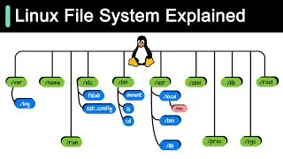 Linux File System Explained!